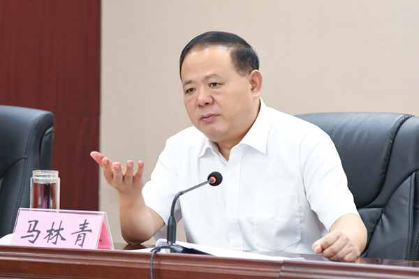 省政府食安辦主任、省市場(chǎng)監(jiān)管局書(shū)記馬林青講話